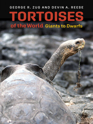 cover image of Tortoises of the World